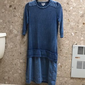 Meli denim dress